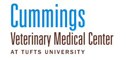 Cummigs Veterinary Medical Center at Tufts University